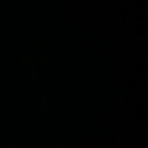 Meet your Posher, Terry